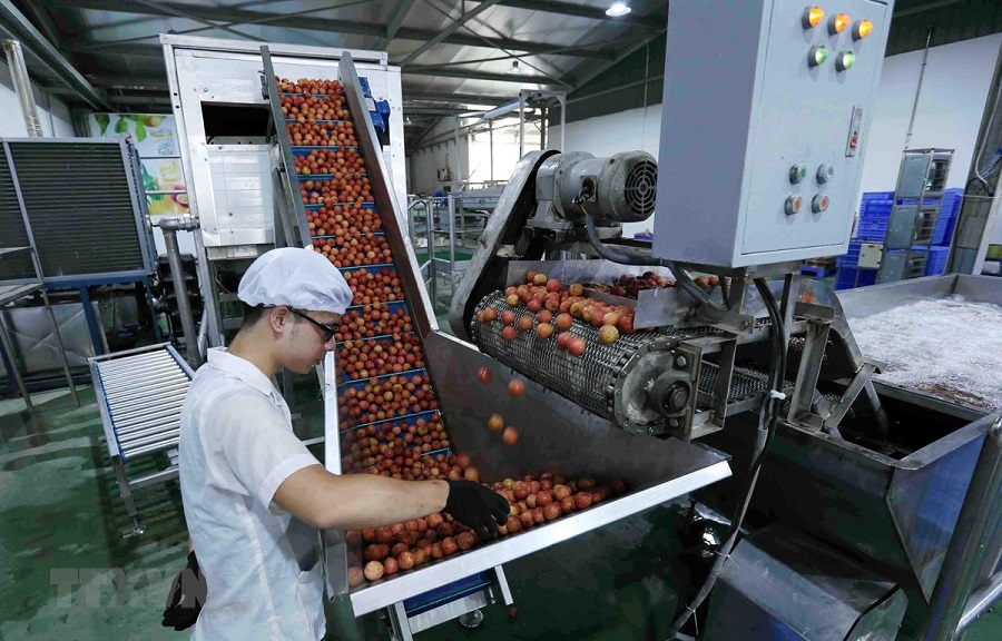Les activités de production et d’exportation créent un élan pour la croissance